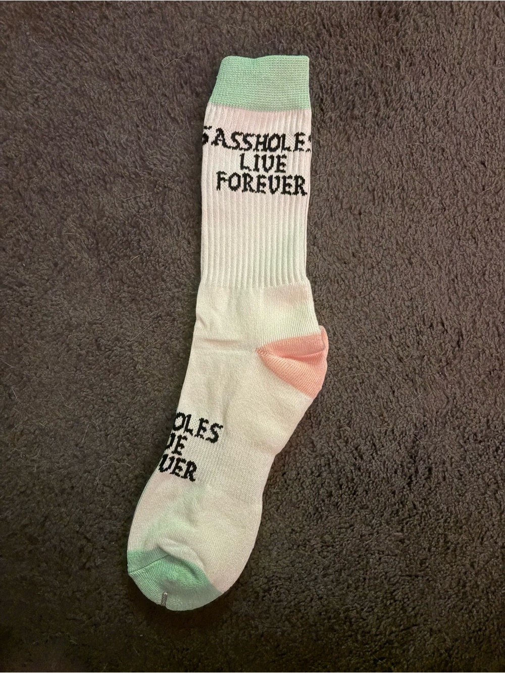 NWT A**holes Live Forever Adult Unisex Color Block Crew Socks, Unisex